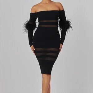 Elegant Black Off-Shoulder Dress with Feather Details